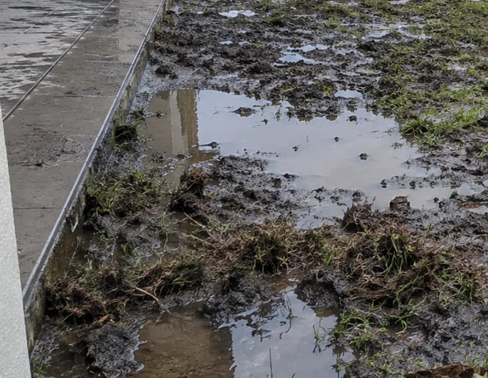 Backyard lawn churned to mud with standing water across it after heavy rain