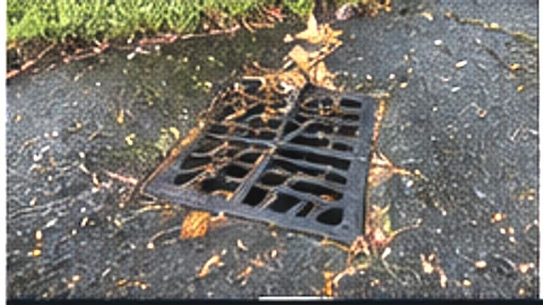 Stormwater grate in a driveway covered with wet leaves and debris blocking water from draining